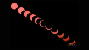 Solar Eclipse Montage in Tucson May 20,2012